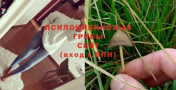 mix Гусев