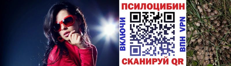 сколько стоит  Новочебоксарск  Галлюциногенные грибы GOLDEN TEACHER 